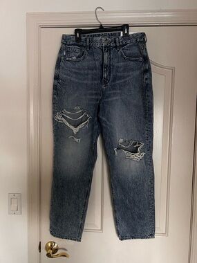 American Eagle Distressed High-Rise Curvy Mom Jeans